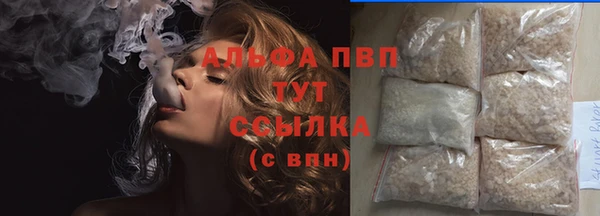 прущая мука Богданович