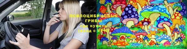кокаин Богородицк